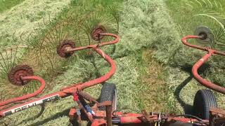 Raking Hay Using Gehl Wheel Rake [upl. by Nagaet]