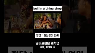 영어표현 bull in a china shop  생활영어  듣기만 해도 됩니다  쇼츠 알차게 보내기 [upl. by Alekehs]