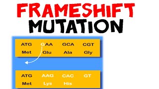 Frameshift mutation [upl. by Minne]