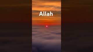 Islamic Channel  Islamic Video  Tilawat Quran  Bayan  Naat  Islamic studiesSonicislamic [upl. by Nediarb]