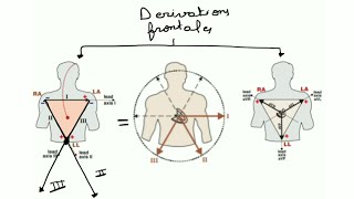 ECG de A à Z  l appareillage de lECG  electrodes et dérivations [upl. by Ury]