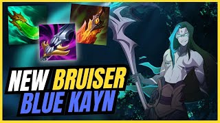 NEW BLUE KAYN BRUISER GUIDE AND BUILD  League of Legends [upl. by Glaudia]