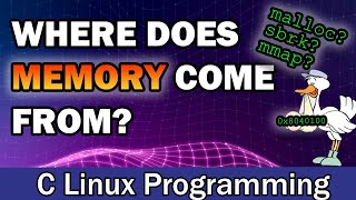 The Origins of Process Memory  Exploring the Use of Various Memory Allocators in Linux C [upl. by Anihsak162]