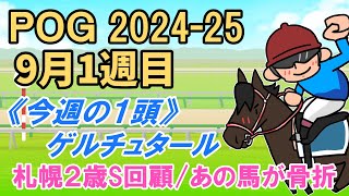 【POG202425】秋競馬スタート！今週の一頭はゲルチュタール／札幌２歳S回顧／あの馬が骨折 [upl. by Sharline349]