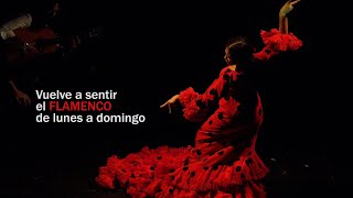 Teatro Flamenco Madrid V̐̈O̐̈L̐̈V̐̈E̐̈M̐̈O̐̈S̐̈  𝘚𝘱𝘰𝘵 𝘱𝘶𝘣𝘭𝘪𝘤𝘪𝘵𝘢𝘳𝘪𝘰  SomosPubli [upl. by Schluter548]