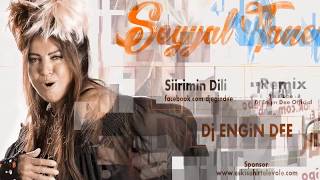 Seyyal Taner feat Dj Engin Dee  Şiirimin Dili  Remix [upl. by Llerrad642]