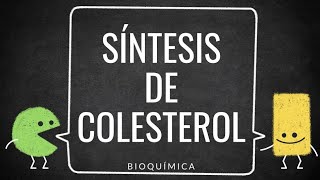 🥓SÍNTESIS DE COLESTEROL NOVO  FÁCIL y Sencillo 🤝 con REGULACIÓN ENZIMÁTICA✅  Lípidos [upl. by Anneliese]