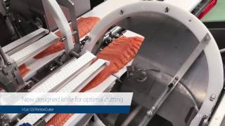 ICut 122 PortionCutter Salmon – Taking portioning to the next level [upl. by Arianna]