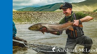 Fly fishing for Taimen Mongolia Headwaters Expedition [upl. by Odragde]