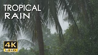 4K Tropical Rain Sounds amp Relaxing Nature Video  Sleep Relax Study Meditate  Ultra HD [upl. by Alderson]