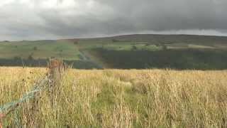 Hiking England Pennine Way  Part 16 Alston to Lambley [upl. by Adiana805]