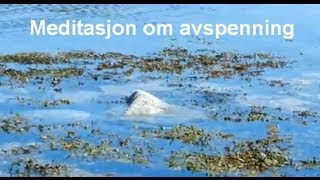 Avspenning  en guidet meditasjon [upl. by Aicen]