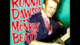 Ronnie Dawson  Down In Mexico The Coasters Cover [upl. by Coh626]