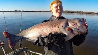 How to catch catfish in a river  fishing for big catfish bait rods reels rigs [upl. by Eetnom]