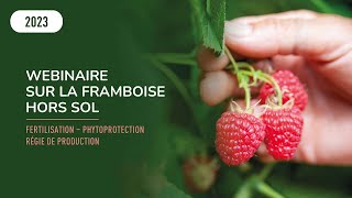 Webinaire sur la framboise hors sol [upl. by Shimberg]