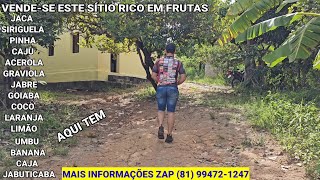 SÍTIO A VENDA NO SÍTIO LAGOA DANTAS TNPE RICO EM FRUTAS [upl. by Lubbock430]