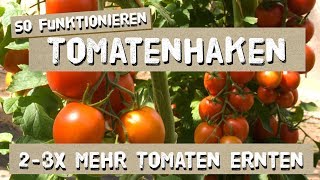 So funktionieren Tomatenhaken  Tutorial [upl. by Sachs]