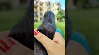 💯Powerful Fenugreek And Black Seeds Hair Growth Tonic shorts haircare hairgrowth longhairviral [upl. by Lama]