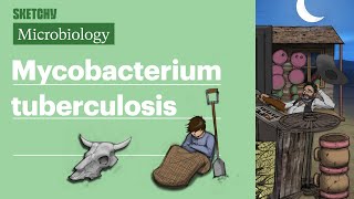 Mycobacterium Tuberculosis Microbiology  USMLE Step 1  Sketchy Medical [upl. by Baillie]