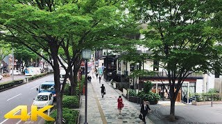 Tokyo Harajuku Omotesando walk 原宿 表参道散歩  4K [upl. by Susannah172]