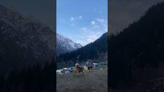 Kheerganga Trek🌄 travel kheerganga trekker himalayantrek mountains indiantrek kheergangatrek [upl. by Arnoldo771]