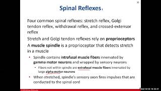 Chapter 14 The Spinal Cord Supplemental Video [upl. by Ecidnac]