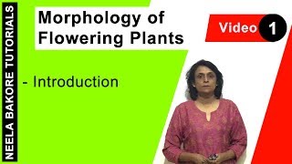 Morphology of Flowering Plants  NEET  Introduction  Neela Bakore Tutorials [upl. by Claudian]