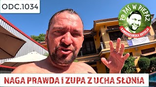 Naga prawda i zupa z ucha słonia Odc1034 [upl. by Xuaeb54]