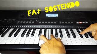 Como tocar quotmi novia bonitaquot de tierra cali en el teclado nota original de manera facil y rapido🎹 [upl. by Ierbua]