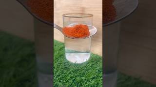 Chilli powder original or duplicate instagram viralvideos food instagramyoutube [upl. by Htebazileyram]