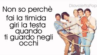 ● One Direction  What Makes You Beautiful  TRADUZIONE ● [upl. by Mariquilla]