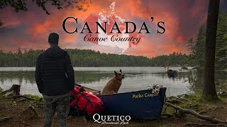 Classic Canadian Canoe trip  INCREDIBLE CLOSE ENCOUNTER with a Moose  Quetico Provincial Park [upl. by Notnroht508]