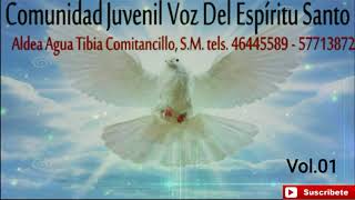 Comunidad Juvenil Voz del Espíritu Santo Vol1 Álbum Completo [upl. by Twyla]