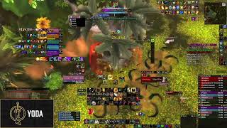 The Everbloom 29 Fortified Raging Prot pala POV [upl. by Arihsa]