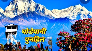 Ghodepani Poonhil ko Kath  घोडेपानी पूनहिलको कथा  3219 kilometre het [upl. by Coit]