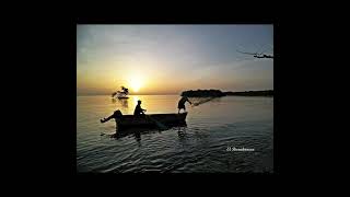 DIOS AMANECE EN BARAHONA Poema de Juan Matos [upl. by Nauqan]