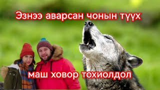 Эзнээ аварсан чонын түүх Гоё Түүхүүд Goy tuuhuud mongol heleer kino duu barimtat kino 2024 [upl. by Whitcher]