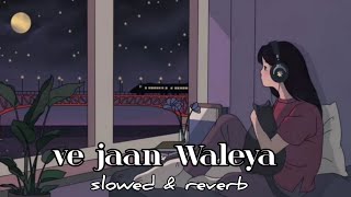 Ijazat Falak slowed amp reverb lofi song  Hindi lofi remix [upl. by Retrac]