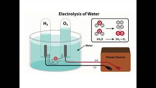 Electrolysis of Acidified Water [upl. by Eikkin]