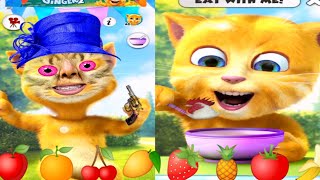 😜My Talking tom 🍒🍊🍎ginger 2 gameplay funny videos shortvideo viralvideo cats [upl. by Joann836]