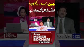 Imran Khan Ki Rehai Landing Kahan  Hamid Mir Revelations qaidi804 meherbukhari shorts [upl. by Anaiv305]