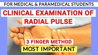 RADIAL PULSE EXAMINATION  CLINICAL LAB  PHYSIOLOGY PRACTICALS [upl. by Fricke]