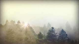 Trees and Fog Church Motion Graphic  Sharefaithcom [upl. by Inuat]