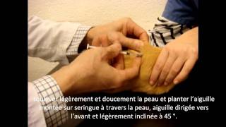 Comment faire une injection sous cutanée à un cochon dInde [upl. by Lynne660]