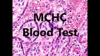 MCHC Blood Test Low High In A Complete Blood Count [upl. by Asylem]