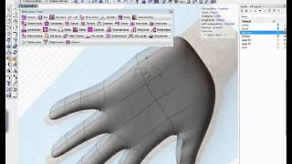 Creating a hand using TSplines for Rhino 3D [upl. by Monahan]