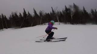 2019 Ski Test  Volkl Flair 81 [upl. by Dnomed]