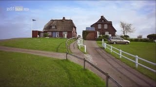 Doku Hallig Hooge  Die Nummer eins im Wattenmeer HD [upl. by Spooner]