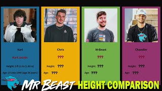 MrBeast Team Members Height Comparison 2022 [upl. by Claudetta532]