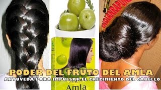 FRUTO DEL AMLA PARA DAR BRILLO AL CABELLO Aryuveda de la India [upl. by Annora]